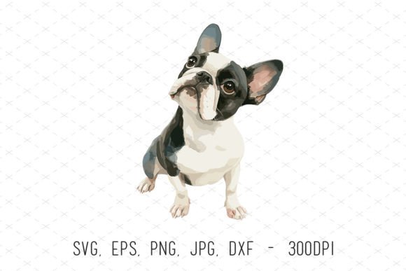 Boston Terrier Puppy Cute Dog Clipart: Graphics & Illustrations