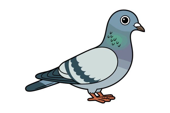 Pigeon Illustration Vector
